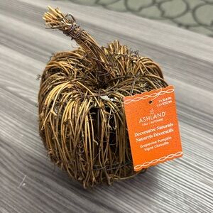 Ashland Fall Decorative Naturals Grapevine Pumpkin Vigne Citrouille new